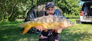 Mirror Carp