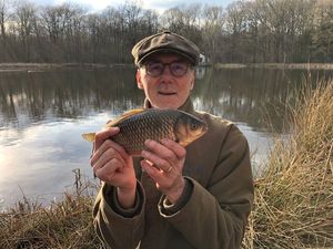 Crucian Carp