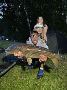Common Carp