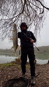 Northern Pike