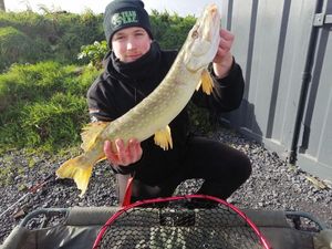 Northern Pike