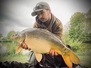 Mirror Carp catturato da Emilien Boitiere