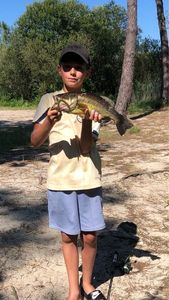 Largemouth Bass