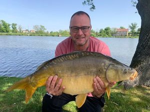 Mirror Carp