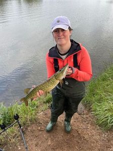 Northern Pike
