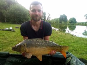 Mirror Carp