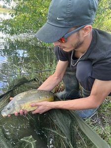 Leather Carp