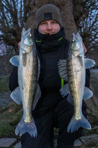 Zander