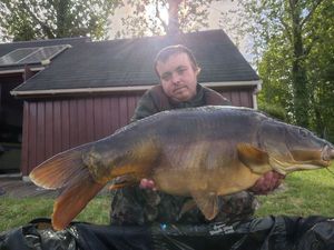 Mirror Carp