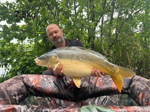 Mirror Carp