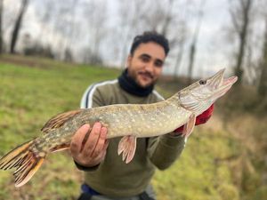 Northern Pike
