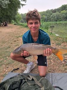 Mirror Carp