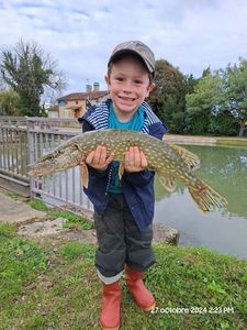 Northern Pike