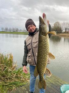Northern Pike