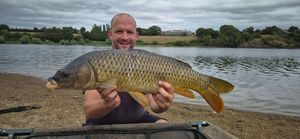 Common Carp