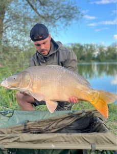 Leather Carp