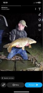 Common Carp