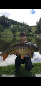 Mirror Carp