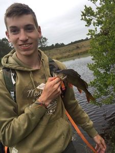 European Perch