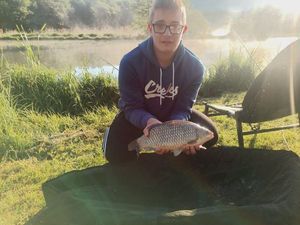 Common Carp