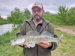 Zander