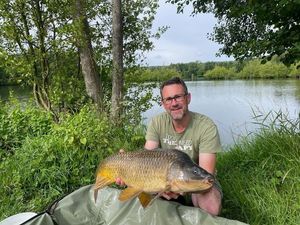 Common Carp