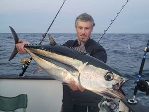 Albacore