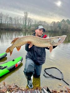 Northern Pike