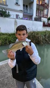Largemouth Bass