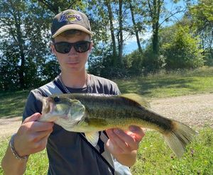 Largemouth Bass