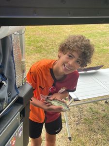 Largemouth Bass