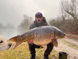 Mirror Carp