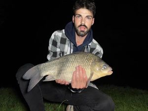 Crucian Carp