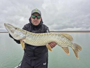 Northern Pike