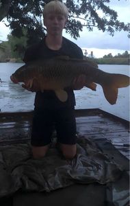 Common Carp