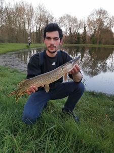 Northern Pike