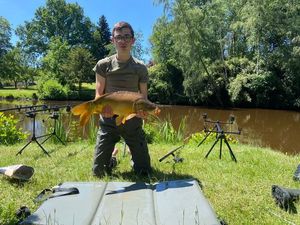 Mirror Carp
