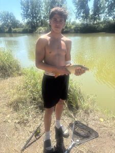 Common Carp