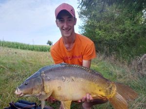 Mirror Carp