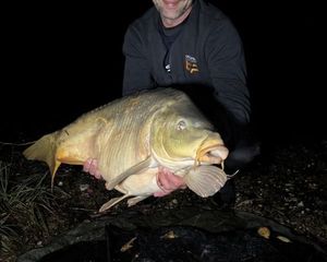 Mirror Carp