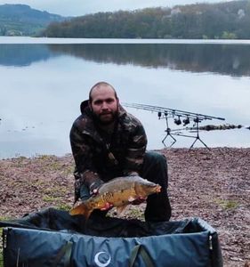 Mirror Carp