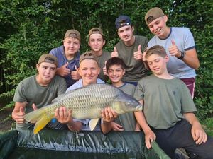 Common Carp