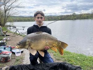 Mirror Carp