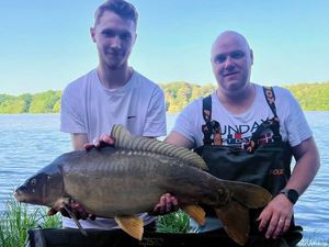 Common Carp