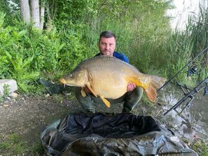 Mirror Carp