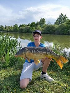 Mirror Carp