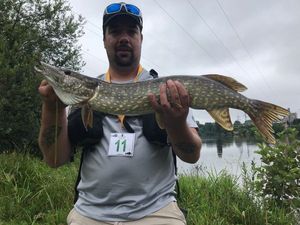 Northern Pike