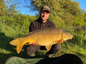Mirror Carp
