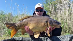Leather Carp