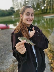 European Perch